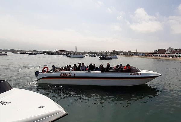 Full Day Paracas Ica + Huacachina + Islas Ballestas y Más 
