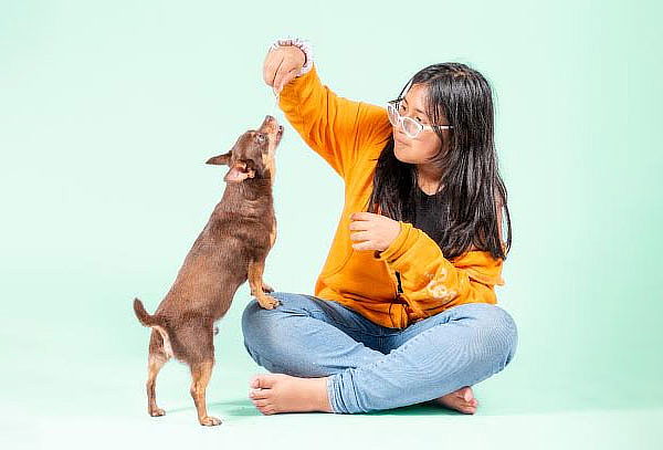 Sesión Fotográfica Para Mascotas + Fotos Impresas y Más 