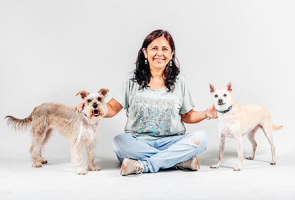 Sesión Fotográfica Para Mascotas + Fotos Impresas y Más 