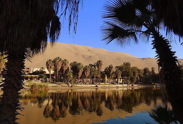 Experiencia Enológica para 2 + Huacachina + Ruta Hacienda 