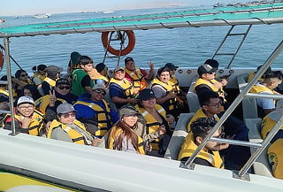 Full Day Playa Sol Arena + Islas Ballestas + Paracas 