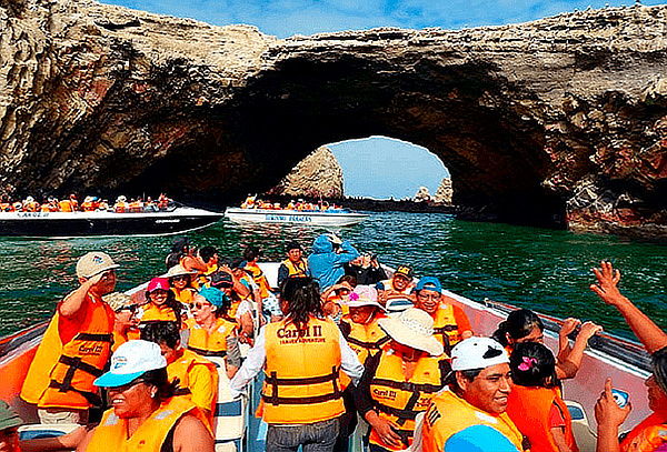 Full Day Paracas + Islas Ballestas + Visita Reserva y Más