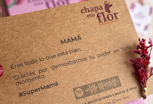 Box Premium Mamá con 6, 9 y 12 Rosas Rosadas y Más 