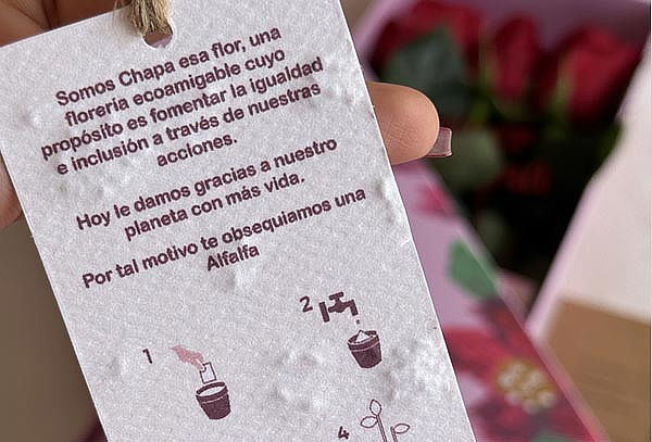 Box Premium Mamá con 6, 9 y 12 Rosas Rosadas y Más 