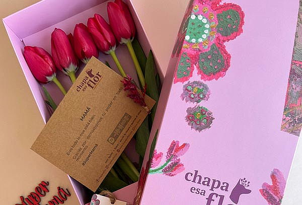 Box Premium Mamá con 5 o 10 Tulipanes Rojos y Más 