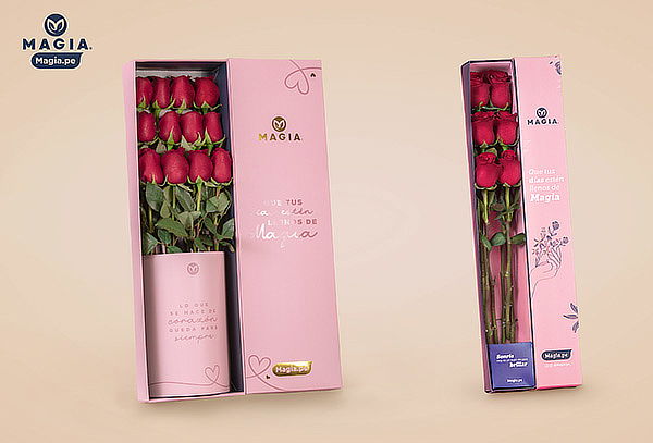 Caja de Magia.pe con 12 Rosas Naturales Premium