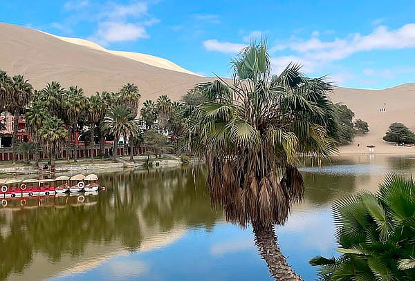 Escápate a Ica - 2D/1N + Almuerzo + Vinos + Huacachina y Más
