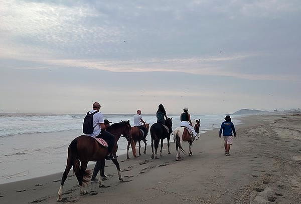 Paseos a Caballo + Mini Granjita: Ruta a la Playa y Más