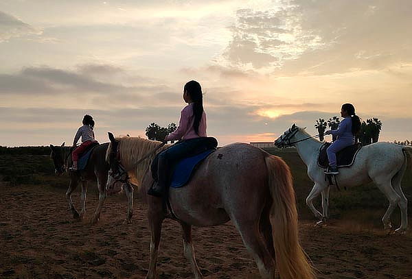 Paseos a Caballo + Mini Granjita: Ruta a la Playa y Más