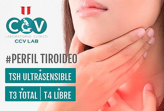 Perfil Tiroideo + TSH Ultrasensible + T3 Total + T4 Libre 