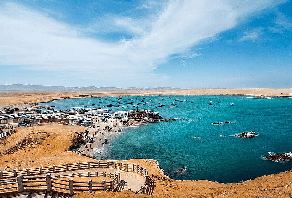 Tour Reserva Nacional de Paracas