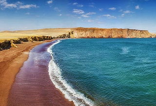 Descubre Paracas: Tour Islas Ballestas & Reserva Nacional 