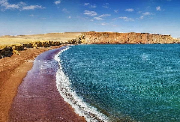 Descubre Paracas: Tour Islas Ballestas & Reserva Nacional 