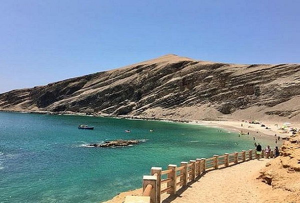 Descubre Paracas: Tour Islas Ballestas & Reserva Nacional 