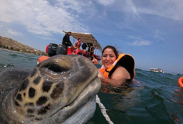 3D/2N para 2 Vichayito Hab Vista al Mar+Vista Ballenas y Más