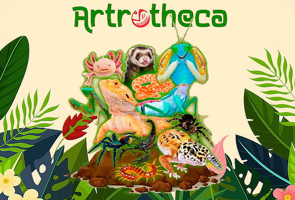 2x1 Entrada Adulto o Infantil para Arthoteca
