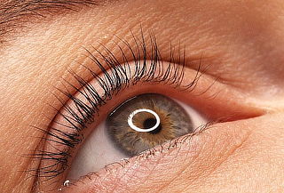 Lifting de pestañas + Laminado de cejas + Hidralips