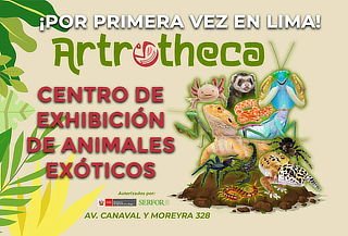 Super Artrotheca Animales Exóticos - General o Infantil Super Artrotheca Animales Exóticos - General o Infantil