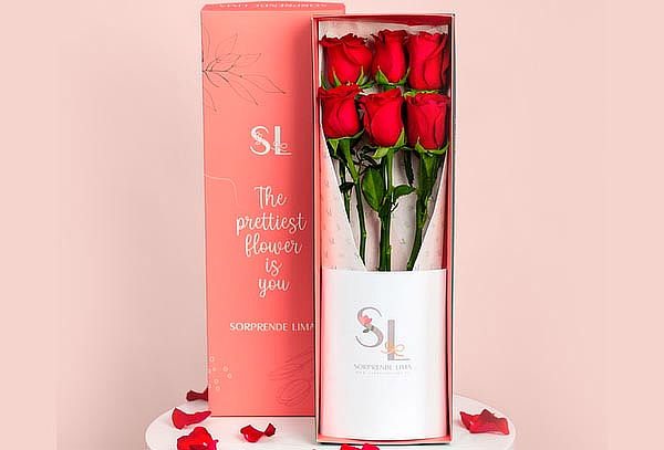 El Detalle Perfecto: 06 Rosas Rojas con Tarjeta y Más