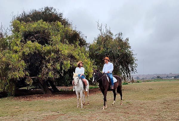 Paseos a Caballo + Mini Granjita: Ruta a la Playa y Más