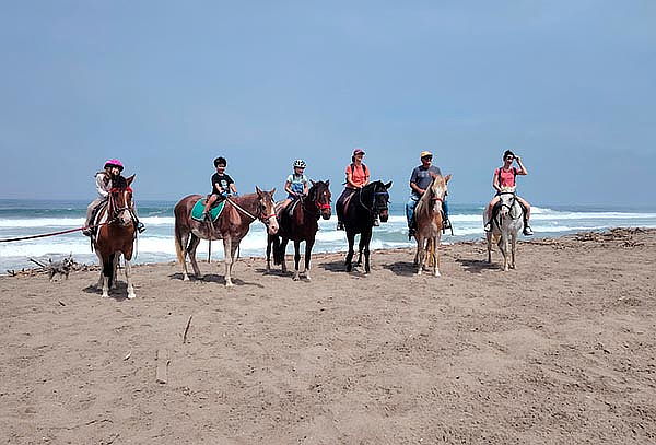 Paseos a Caballo + Mini Granjita: Ruta a la Playa y Más