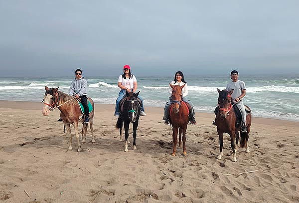 Paseos a Caballo + Mini Granjita: Ruta a la Playa y Más