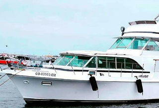 Full Day! Paseo en Yate, en Islas Palomino con Tours MyG