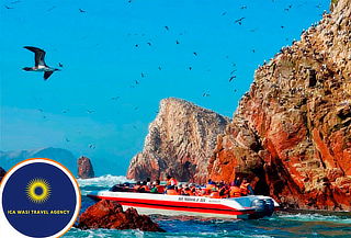Full Day Islas Ballestas + Reserva Nacional de Paracas