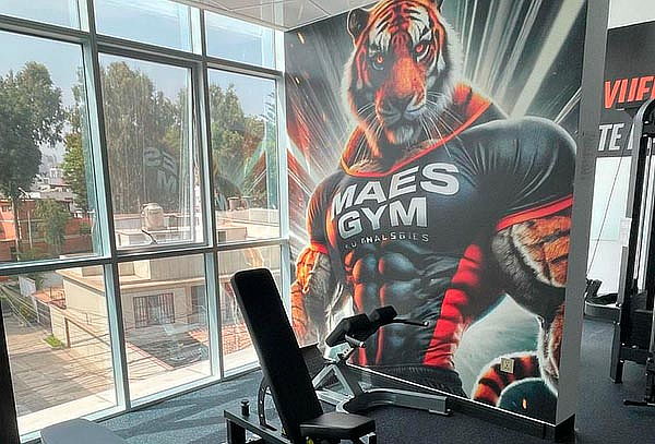 !Membresía Maes Gym: 1–12 Meses Resultados Reales!