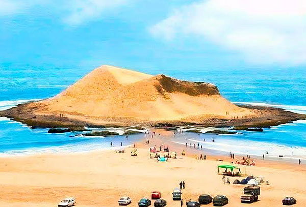 Full Day Isla Faraón, Barranca y Pativilca - Friends Tour