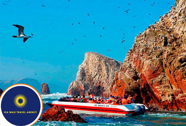 Full Day Islas Ballestas + Reserva Nacional de Paracas