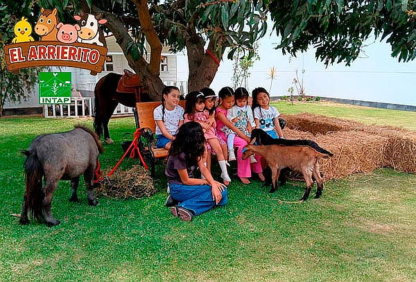 Conoce y Alimenta a los Animalitos en la Granja El Arrierito