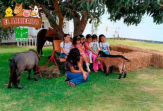 Conoce y Alimenta a los Animalitos en la Granja El Arrierito