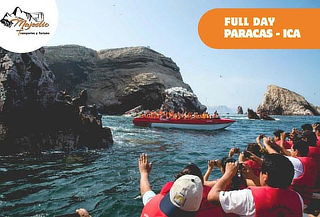 Full Day Paracas + Ica + Islas Ballestas con Majestic