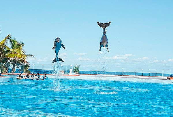 ¡PARA 2! 6D/5N en RIVERA MAYA - TODO INCLUIDO+ 2 Menores 