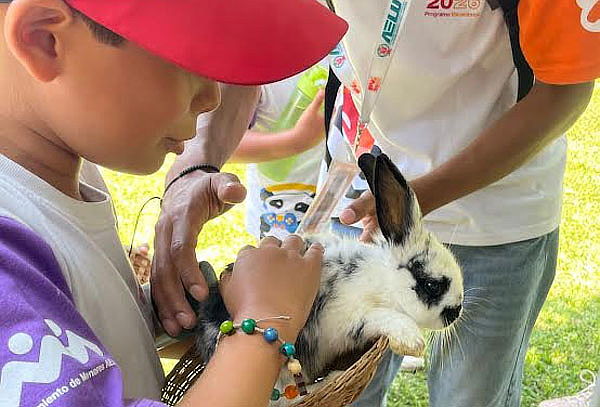 Granja Familiar: Alimenta Animales con Alfalfa Ilimitada
