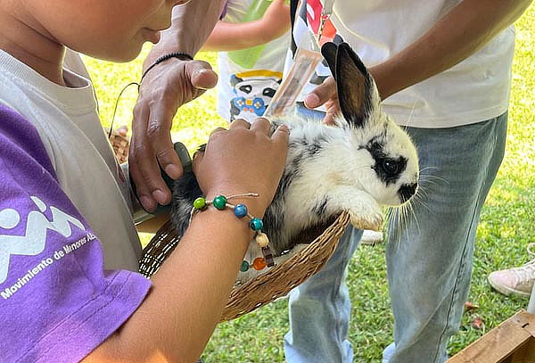 Granja Familiar: Alimenta Animales con Alfalfa Ilimitada