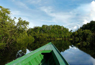 ¡Aventura y vegetación exuberante en Iquitos! 3D / 2N 50% 