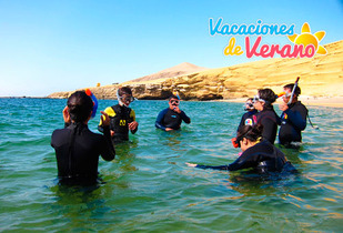Snorkeling en Paracas, ¿te atreves? al 57%