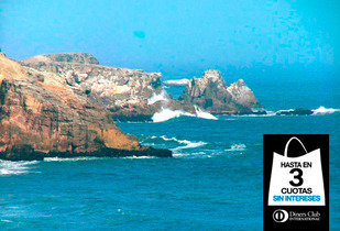 Playa Cerro Azul y Quilmaná este 08 Marzo