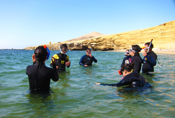 Snorkeling en Paracas al 57%