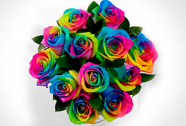 6 ó 12 rosas Arcoiris, delivery - La Mia Florista 50%