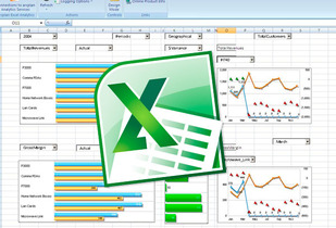 Curso básico e intermedio de Excel 2013 para dos. 