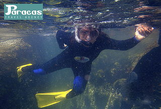 ¡INOLVIDABLE! Snorkeling + Fotos Subacuaticas y Más