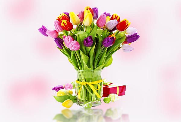 ¡Hermosos Tulipanes para Ella! Colores a Elección