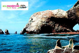 ¡Full Day Feriado Largo! Paracas, Ica, Chincha y Más ¡Full Day Feriado Largo! Paracas, Ica, Chincha y Más