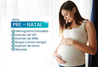 Perfil Pre- Natal Completo 