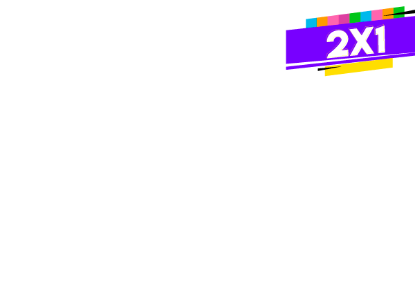 B-2X1