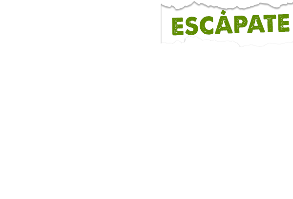 ESCAPATE LETTING