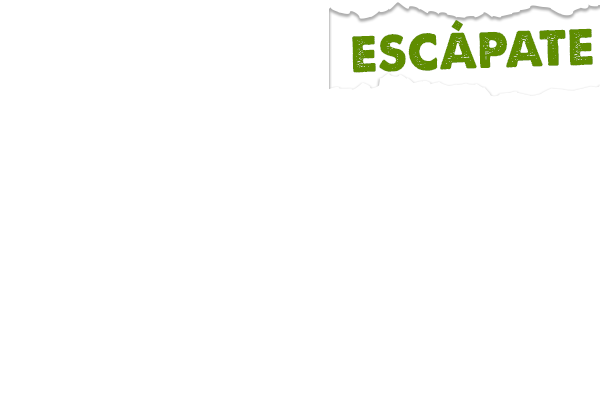 Escapate Letting